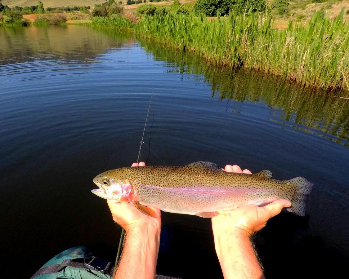 Walkersons Trout And Nature Haven Dullstroom Luaran gambar