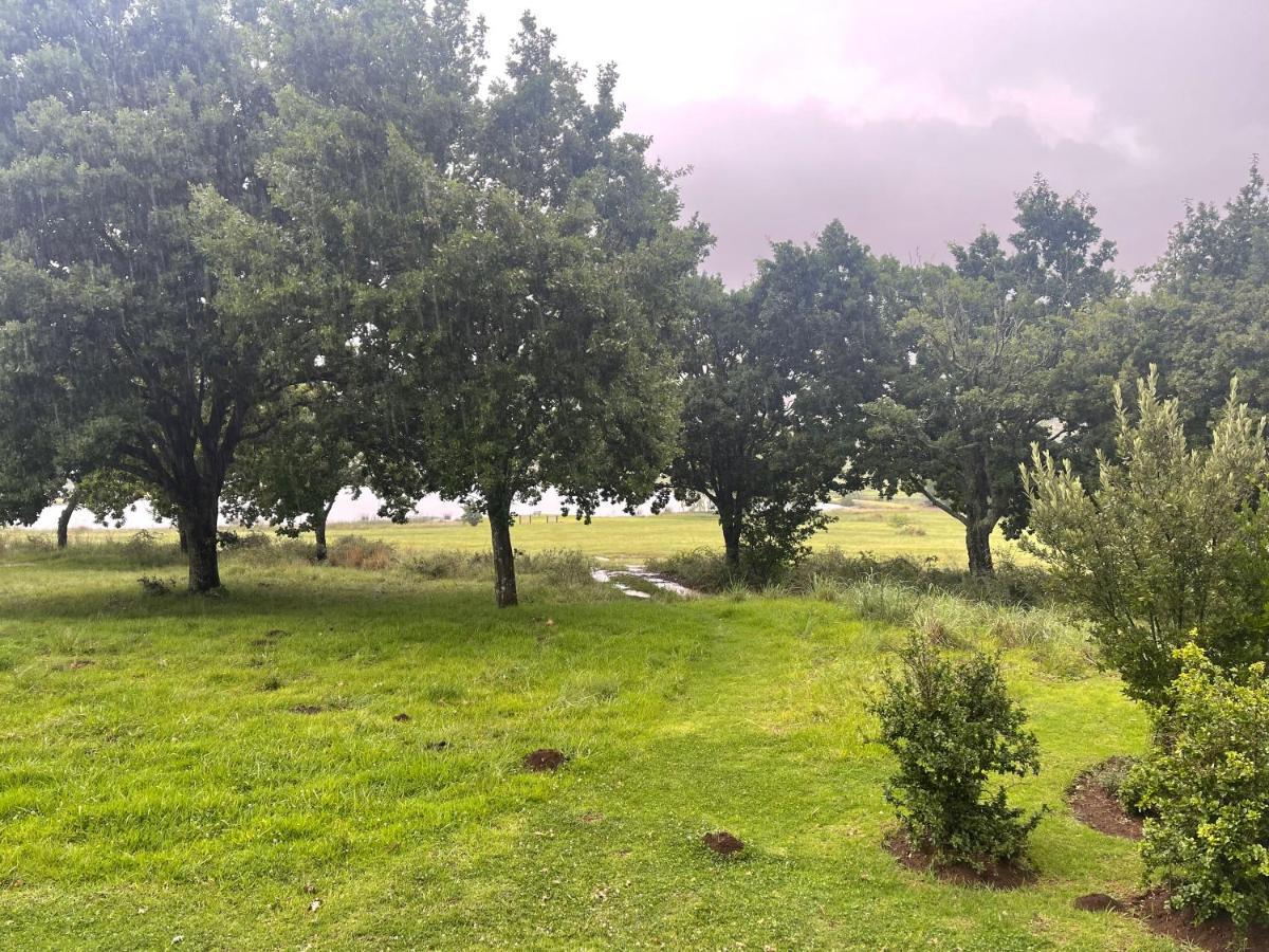 Walkersons Trout And Nature Haven Dullstroom Luaran gambar