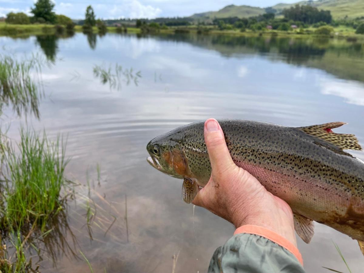 Walkersons Trout And Nature Haven Dullstroom Luaran gambar